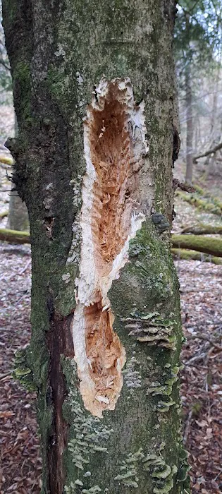 Michael's retreat Picture 5