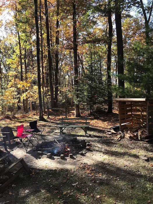 The Brothers 4 Picture 5