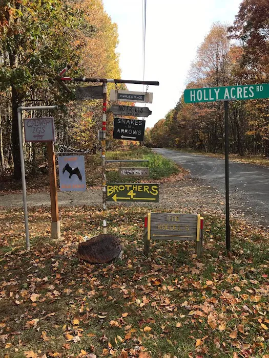 The Brothers 4 Picture 4