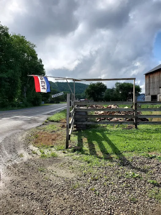 Brokenstraw Valley Campsites Picture 5