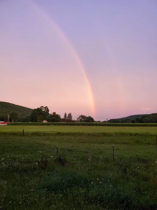 Brokenstraw Valley Campsites Picture 2