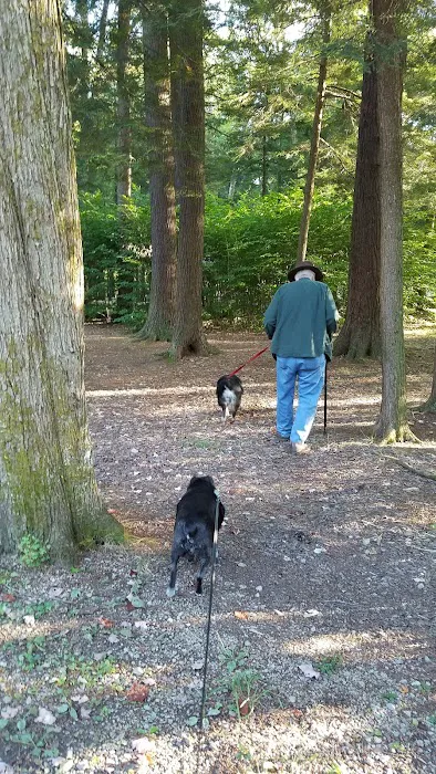 Ridge Campground At Cook Forest Picture 5