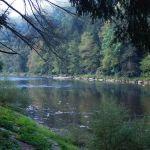 MacBeth's Cabins and Country Store