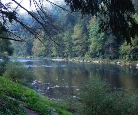 MacBeth's Cabins and Country Store
