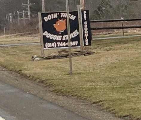 Penn Oaks Campground Picture 2