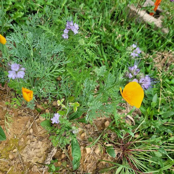 Camp Hire a Home Inspector (meet your hosts, Thieving Scumbags)! Picture 7