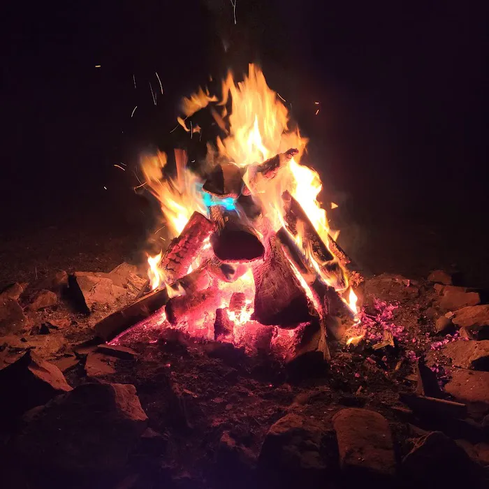 Camp Hire a Home Inspector (meet your hosts, Thieving Scumbags)! Picture 4