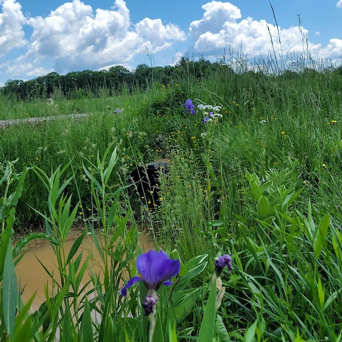 Camp Hire a Home Inspector (meet your hosts, Thieving Scumbags)! Picture 10