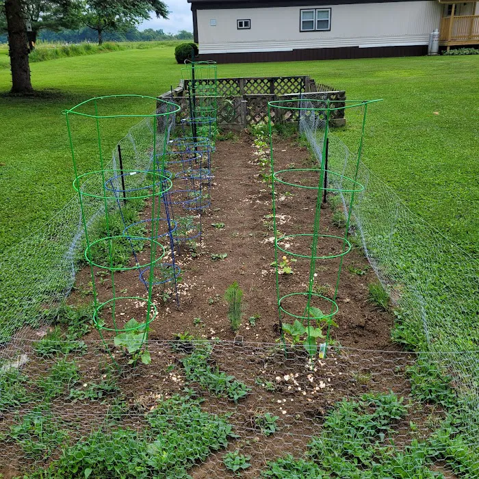 Camp Hire a Home Inspector (meet your hosts, Thieving Scumbags)! Picture 9