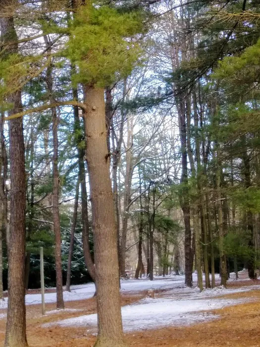 Double R Campground Picture 9