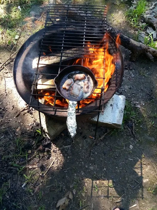 Double R Campground Picture 6