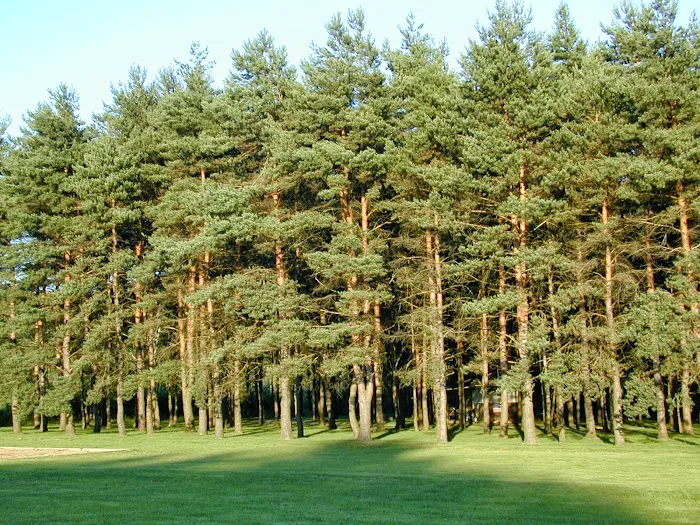 Kalyumet Campground Picture 8