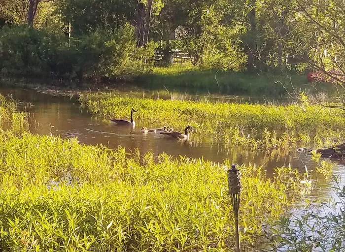 Brushwood Folklore Center, LLC Picture 9