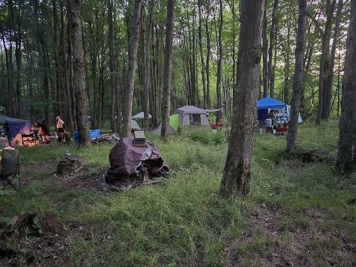 Brushwood Folklore Center, LLC Picture 3