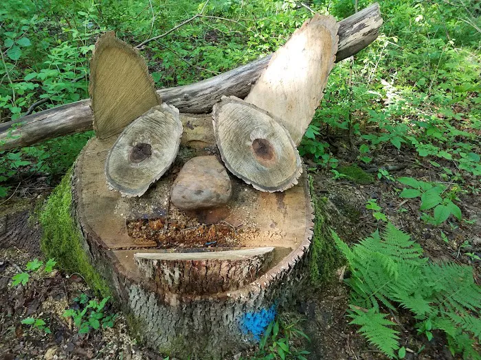 Brushwood Folklore Center, LLC Picture 8