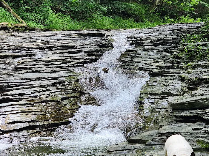Chautauqua Gorge Campground Picture 5