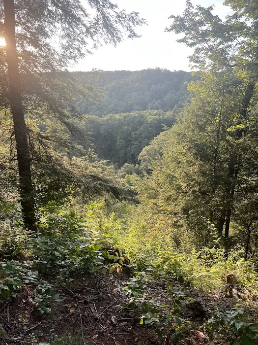 Chautauqua Gorge Campground Picture 3