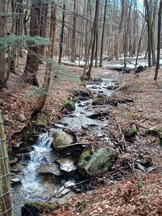 Chautauqua Gorge Campground Picture 10