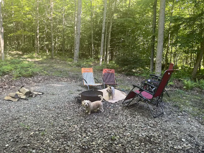 Chautauqua Gorge Campground Picture 8