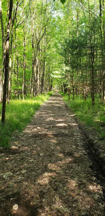 Oxbo Campground Picture 3