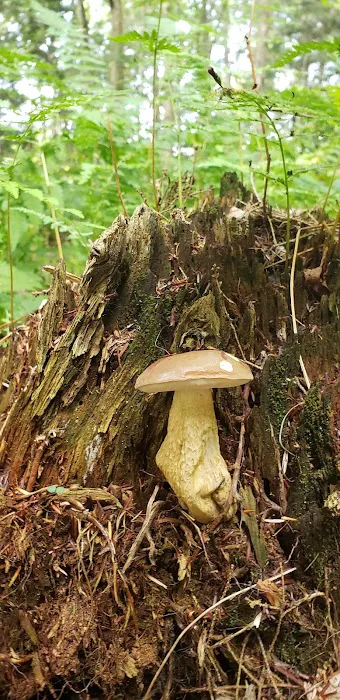 Oxbo Campground Picture 2