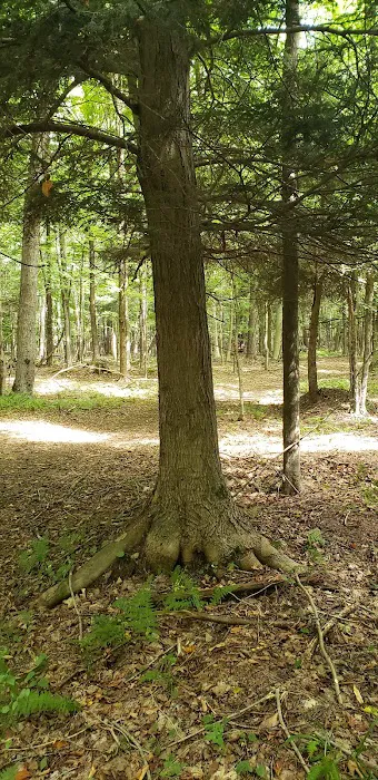 Oxbo Campground Picture 1