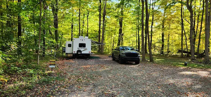 Steelhead Run East Campsite Picture 1