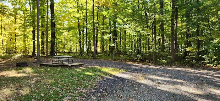 Steelhead Run East Campsite Picture 4