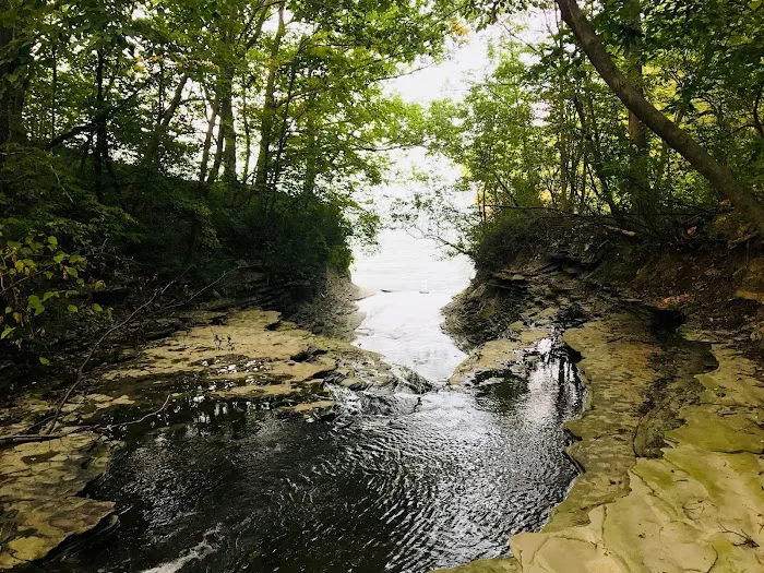 Brookside Beach Picture 7