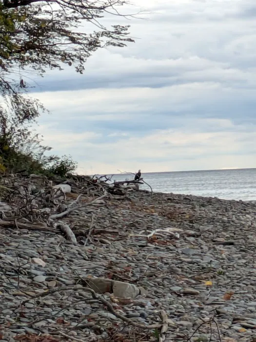 Lakeside Campground Picture 5