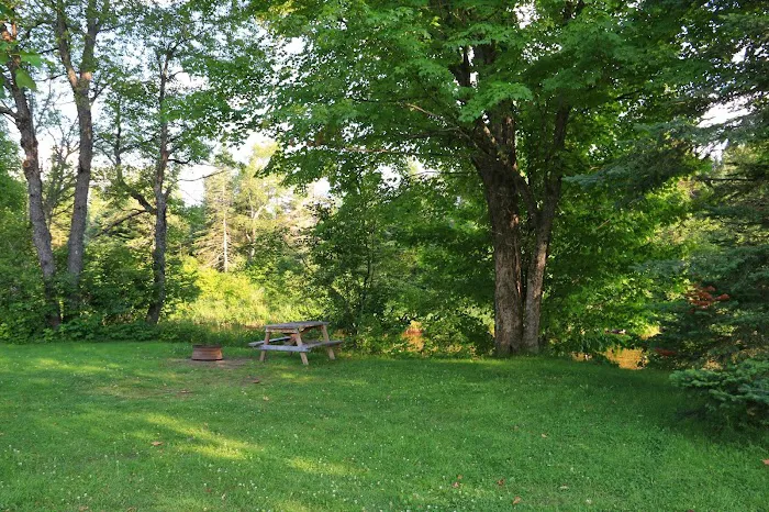 Along the River Campground & Cabins Picture 5