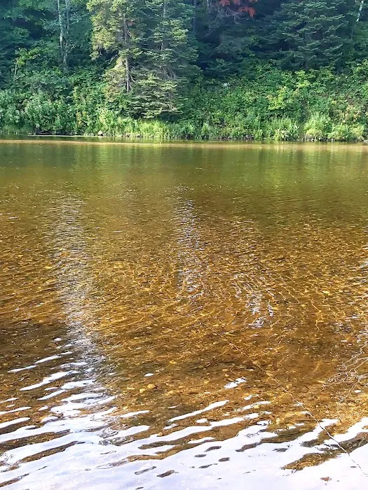 Ammonoosuc Campground Picture 10