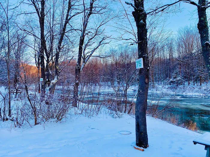 Twin Mountain Campground Picture 8