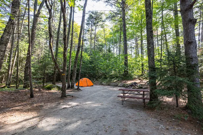 Twin Mountain / Mt. Washington KOA Holiday Picture 8