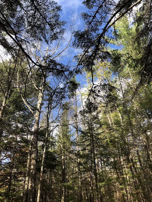 Sugarloaf Campground II Picture 9