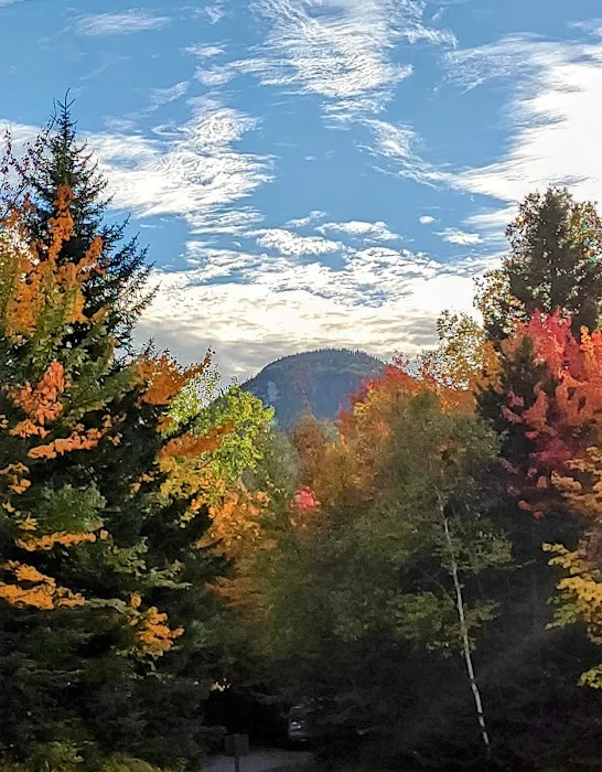 Sugarloaf Campground II Picture 6