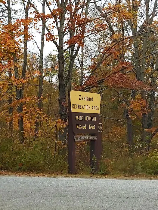 Zealand Campground Picture 8