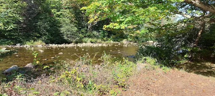 Zealand Campground Picture 5