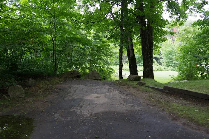 Zealand Campground Picture 2