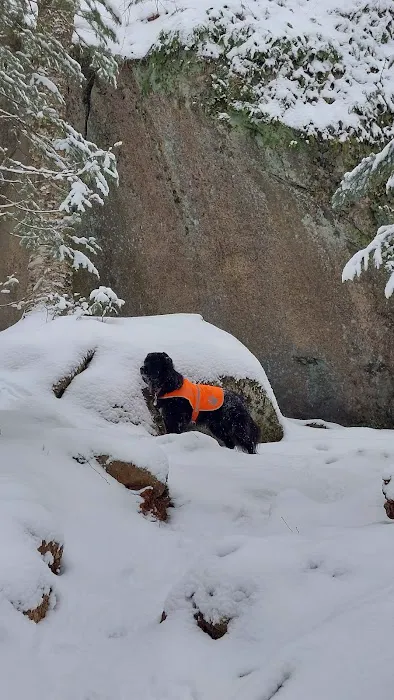 Zealand Campground Picture 9