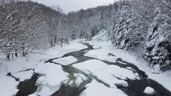 Zealand Campground Picture 4