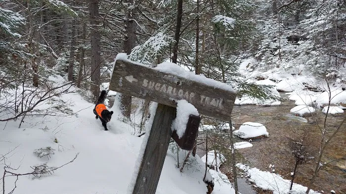 Zealand Campground Picture 6