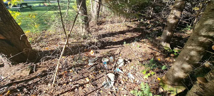 Mount Deception Camping Area Picture 1
