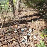 Mount Deception Camping Area