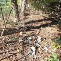 Mount Deception Camping Area ico