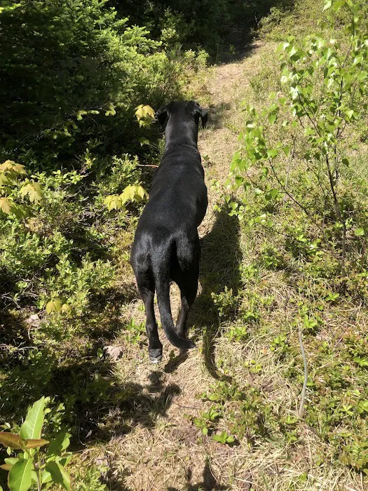 Mount Deception Camping Area Picture 8