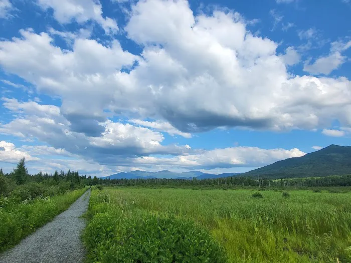 Israel River Campground Picture 7
