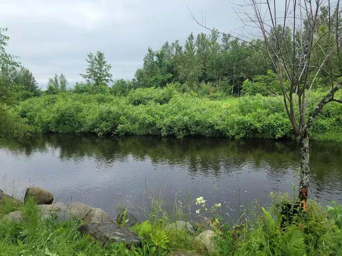 Israel River Campground Picture 4