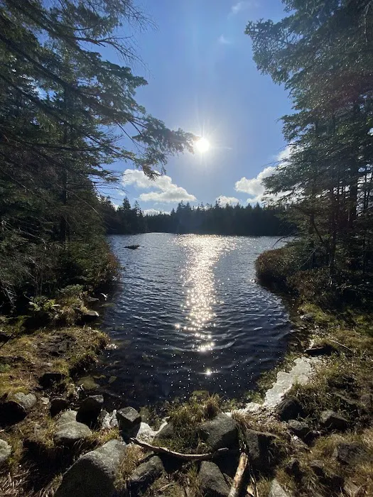 Unknown Pond Tentsite Picture 6