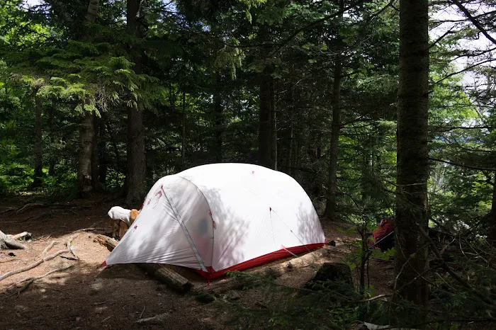 Unknown Pond Tentsite Picture 1